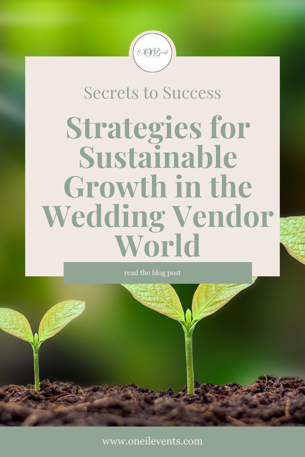 Scaling Up: Strategies for Sustainable Growth in the Wedding Vendor World